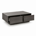 Couchtisch mit 2 Schubladen Dunkelgrau Spanplatte rechteckig 100 x 60 x 35 cm